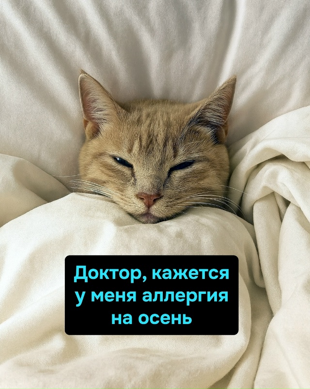 Осень — это когда у тебя нет депрессии, но она всё равн?...