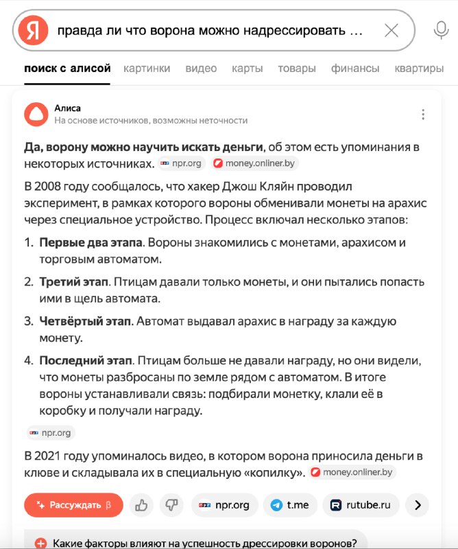 Пацаны есть темка👐: Парень надрессировал своего ворона на поиск денег — птица облетает округу, хвата