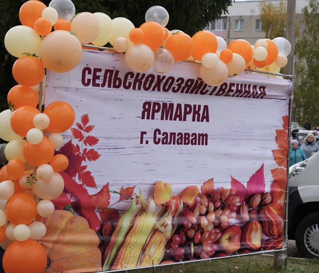 Осенние ярмарки в Салавате ?
Дорогие салаватцы и гос?...