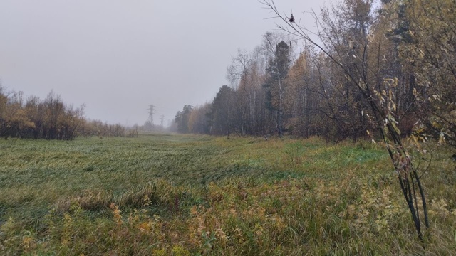 Туман окутал Лангепас