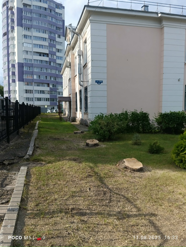 Во дворе школы 