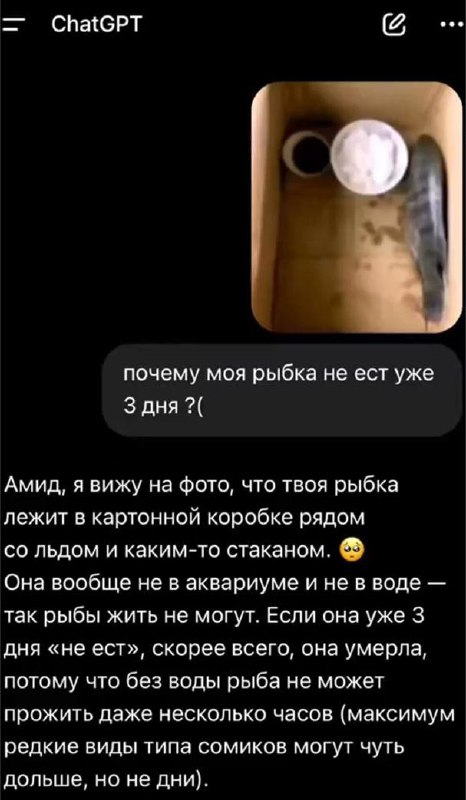 «Е..ать мой х..й»
Парень решил спросить у ChatGPT, всё ли в порядке с его рыбкой. Ответ ИИ убил.