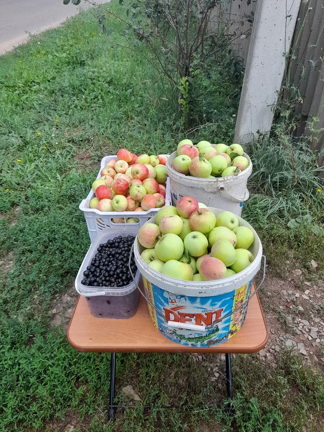 Продаются яблоки,чёрная смородина.с.Александровка,ул.?...