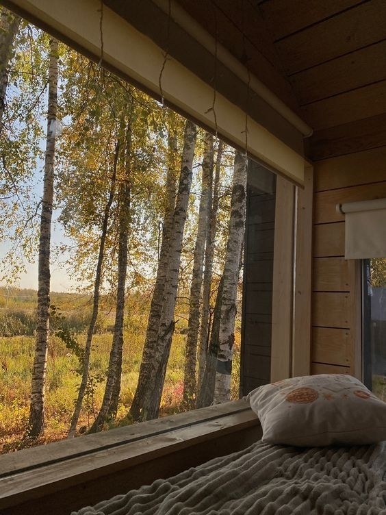 Просто жить и осенью дышать...