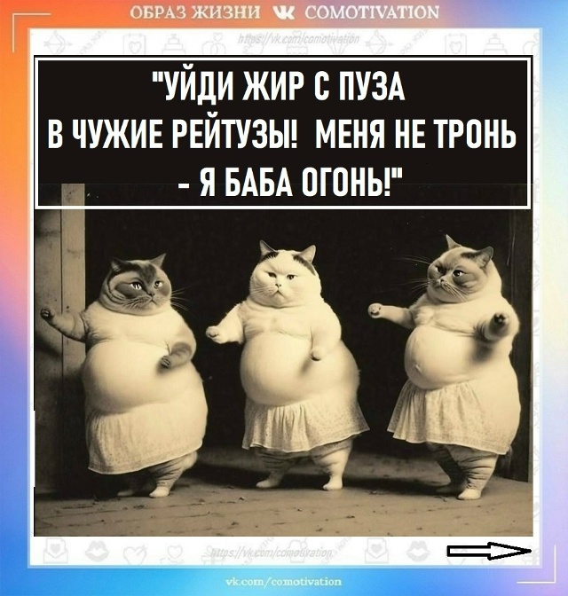 Не благодарите.