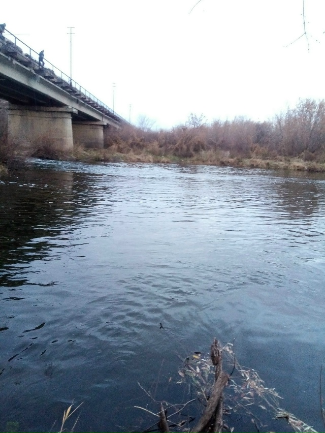 Немного позитива в ленту.На снимках,октябрь 2025 года,на ...