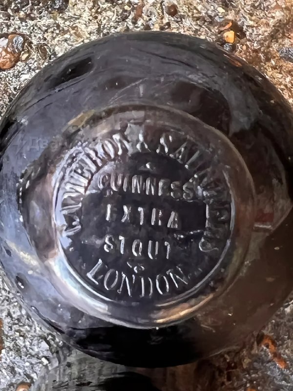 Дайвер нашёл на дне Ла-Манша бутылку Guinness Extra Stout возрастом около 162 лет — она пролежала по