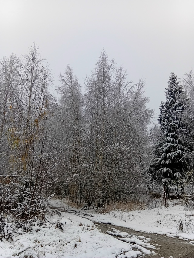 Вот и зима постучалась..