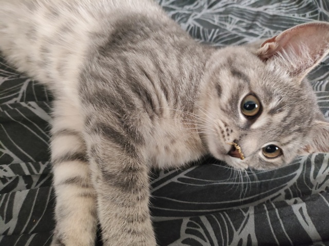 О! Видали!? Че у ней на носу?
Не #мявстерская