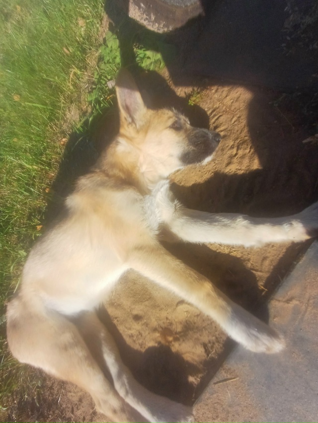 Необычно ласковая и добрая девочка , которая нуждается...