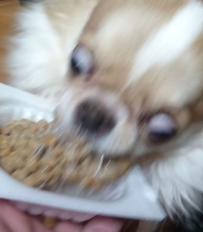 Бро завирусился в сети и стал мемом, из-за своей необузданной любви к натто(ферментированные бобы)