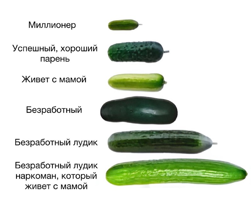 Закон подлости в действии