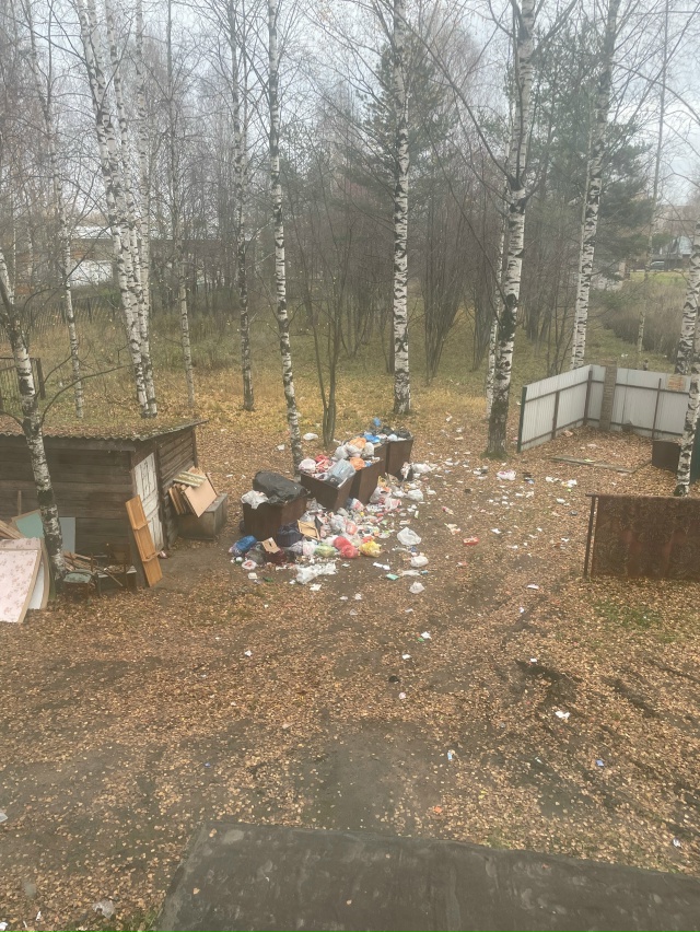 Мусорка общежития Экономики😨 (анон)