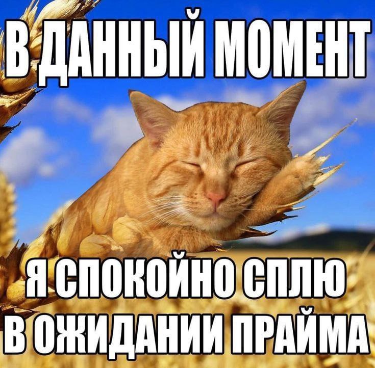 Утренняя подборочка