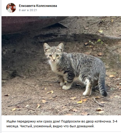 Пост добра. Распространите, пожалуйста.