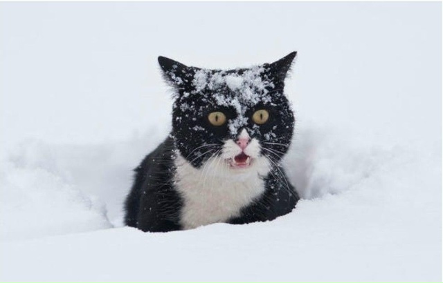 Ну все мы спокойны😃
Мэр Уфы пообещал уфимцам снег
