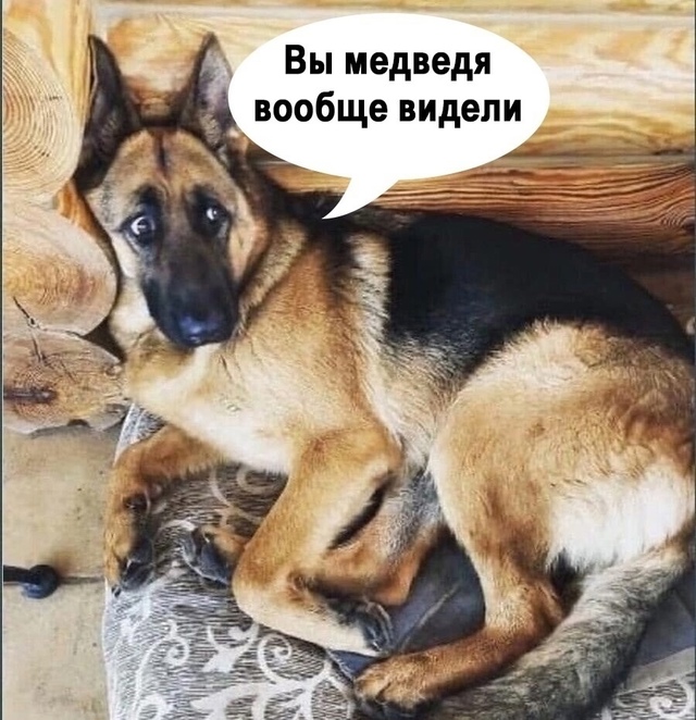 и в чем она не права?