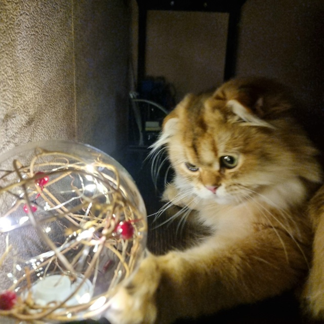 Ну очень интересно.