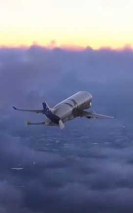 Airbus Beluga (модель A300-600ST) — это грузовой реактивный самол?...