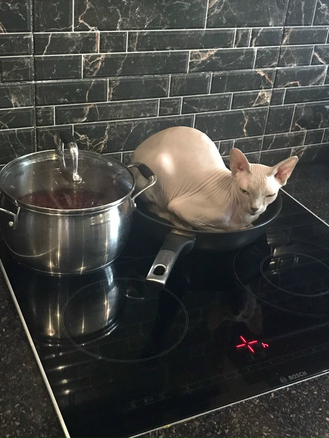 ???