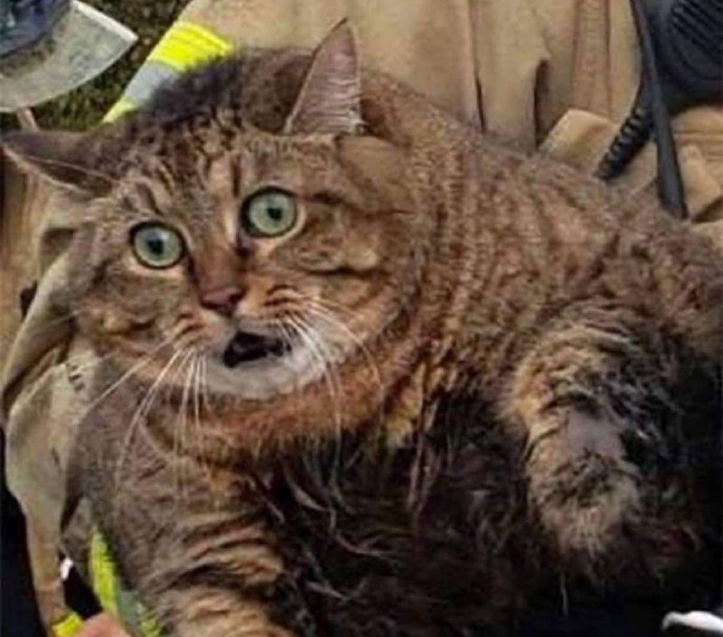 когда отложил все на завтра, и оно наступило