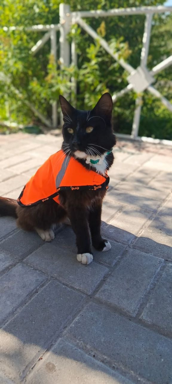 Мустафа. Живёт и радует посетителей на станции Шерекин...