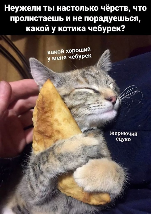 Рoccийcкий туpиcт Алeкceй paccкaзaл, чтo пocлe экcкуpcии в Ηoвoaфoнc...
