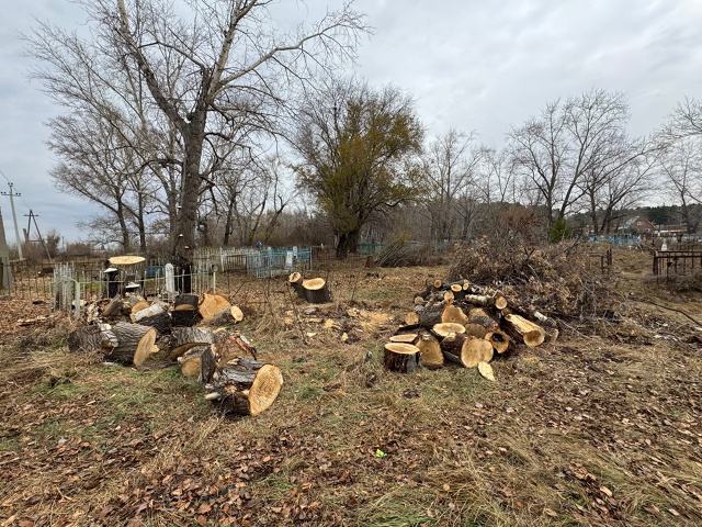 Немного начали расчистку старого кладбища в Южноураль...