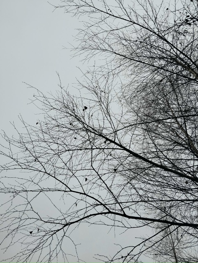 Ребята из Орехово-Зуево! Это просто пушка-бомба. Многие...