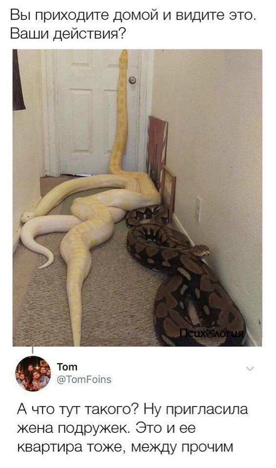 Я бы умерла просто на месте 🧐