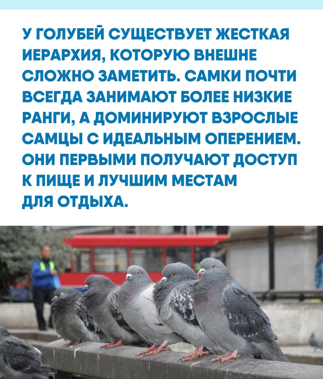 Почему люди не всегда замечают 
