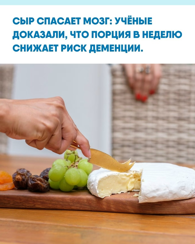 Учёные выяснили, что регулярное употребление сыра сни?...