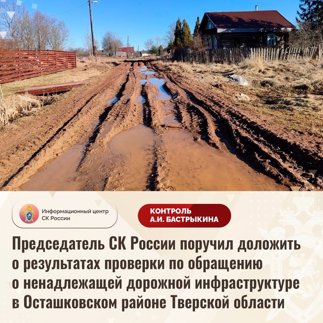 Председатель СК России поручил доложить о результатах...