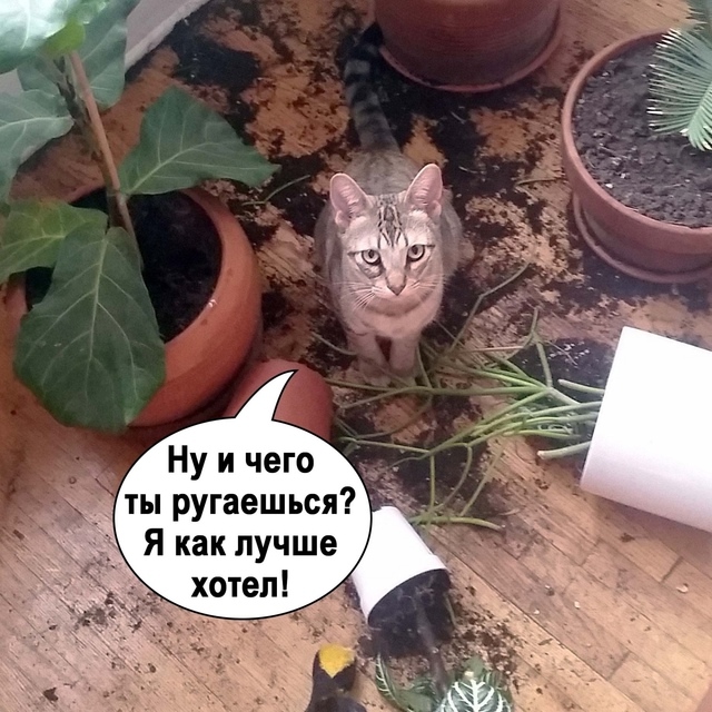 =»»