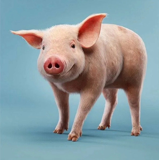 ЗАО Тропарево на постоянную работу требуются
РАБОЧИЕ...