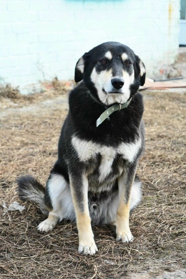 ?? Прямо сейчас на Полугоре проходит выставка-прист?...