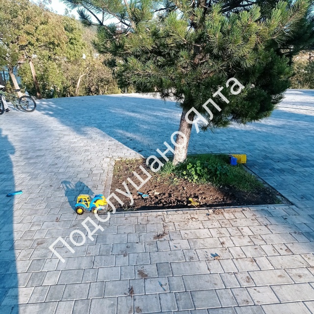 Почему сейчас, когда на каждом углу кричат: Рожай, рожа?...