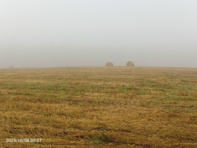 Ну как же не любить Россию?
Я тут родился, вырос и живу! ...