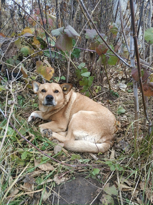 Несколько дней назад в группе размещали пост по поводу...