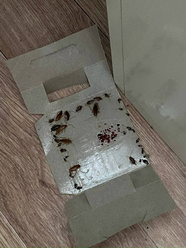 В медсанчасти больные после реанимации в неврологии л?...