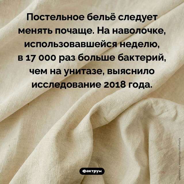 Подборка интересных фактов.