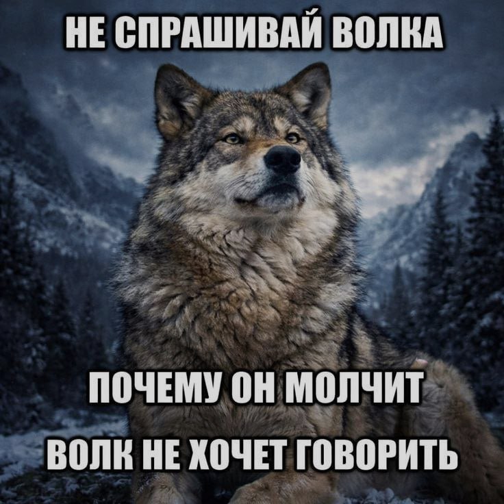 Ночная подборочка
Спать, режим