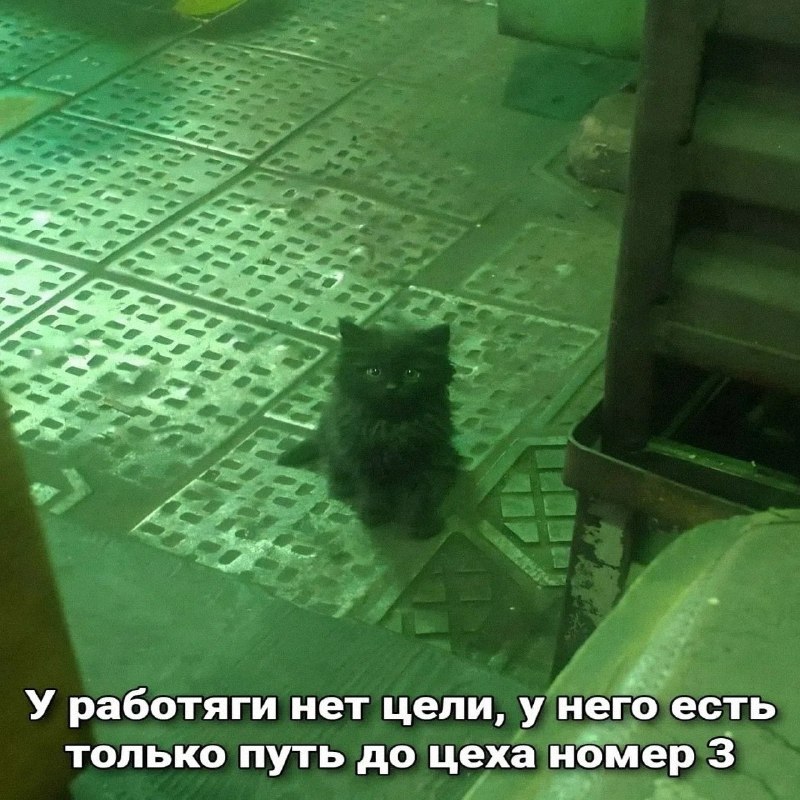 Утренняя подборочка