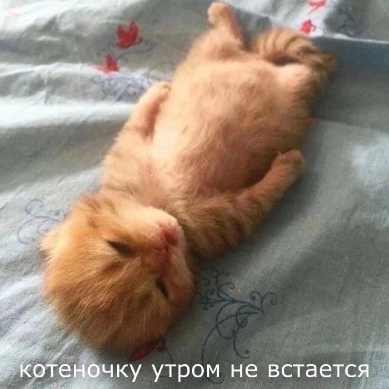 Утренняя подборочка