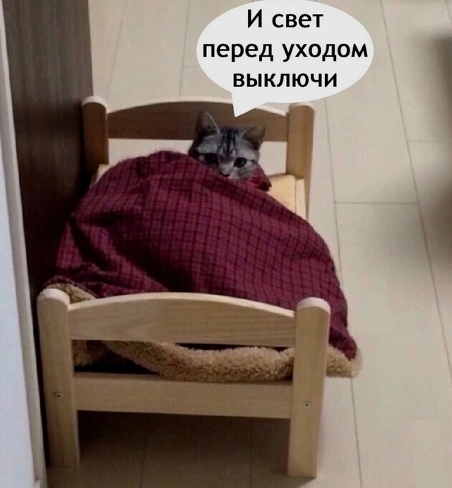 Как же я ему завидую в такие моменты