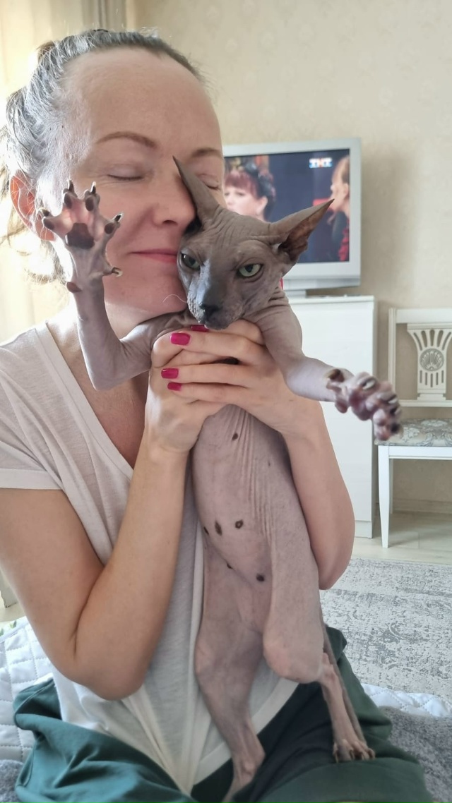 Душа пельмешки , взгляд египетского проклятия.