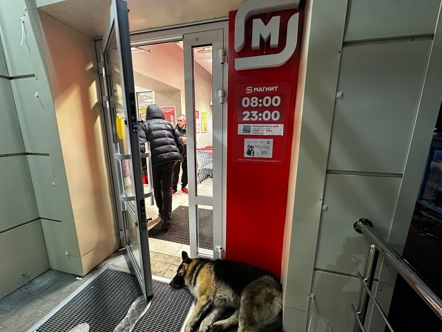 Чья потеряшка ? Не может встать , что то с задними лапам?...