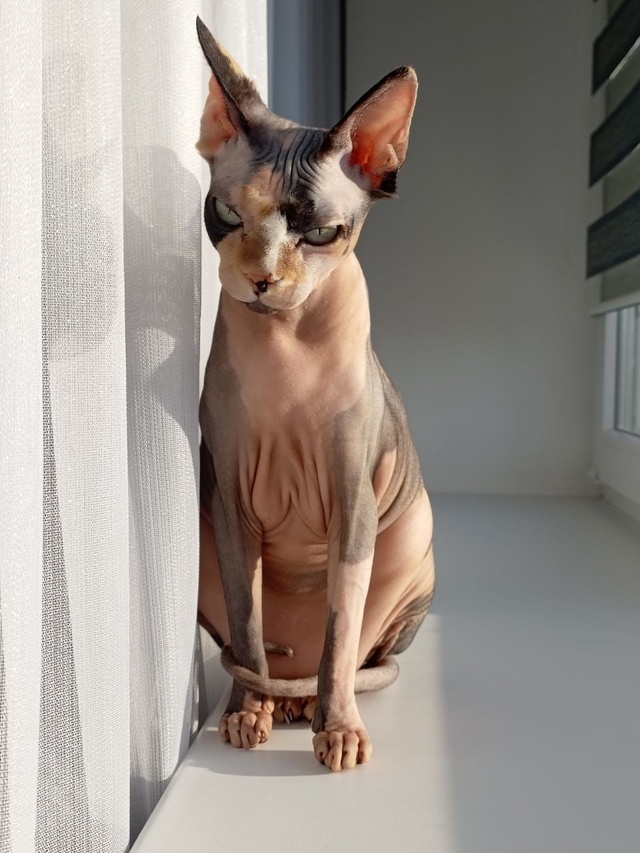 Наш первый пост)
Зайка, 6 лет, появилась почти год назад,...