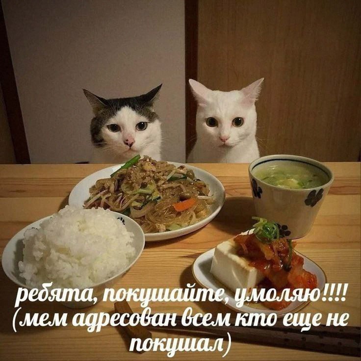Утренняя подборочка