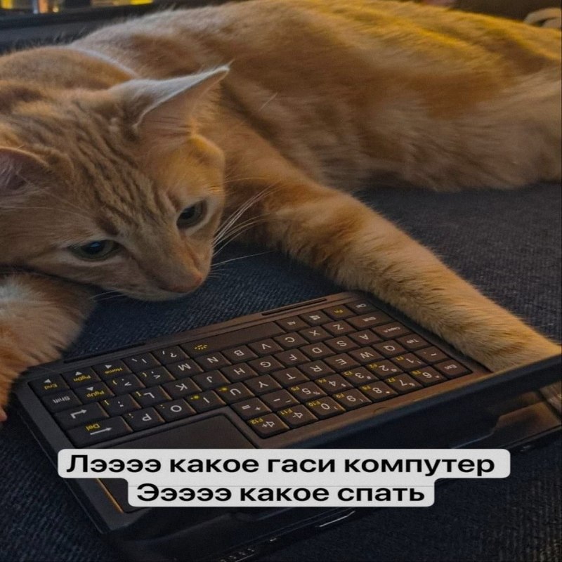 Ночная подборочка
Спать, режим